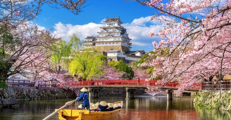 Cherry blossoms and castle in Himeji, Japan.